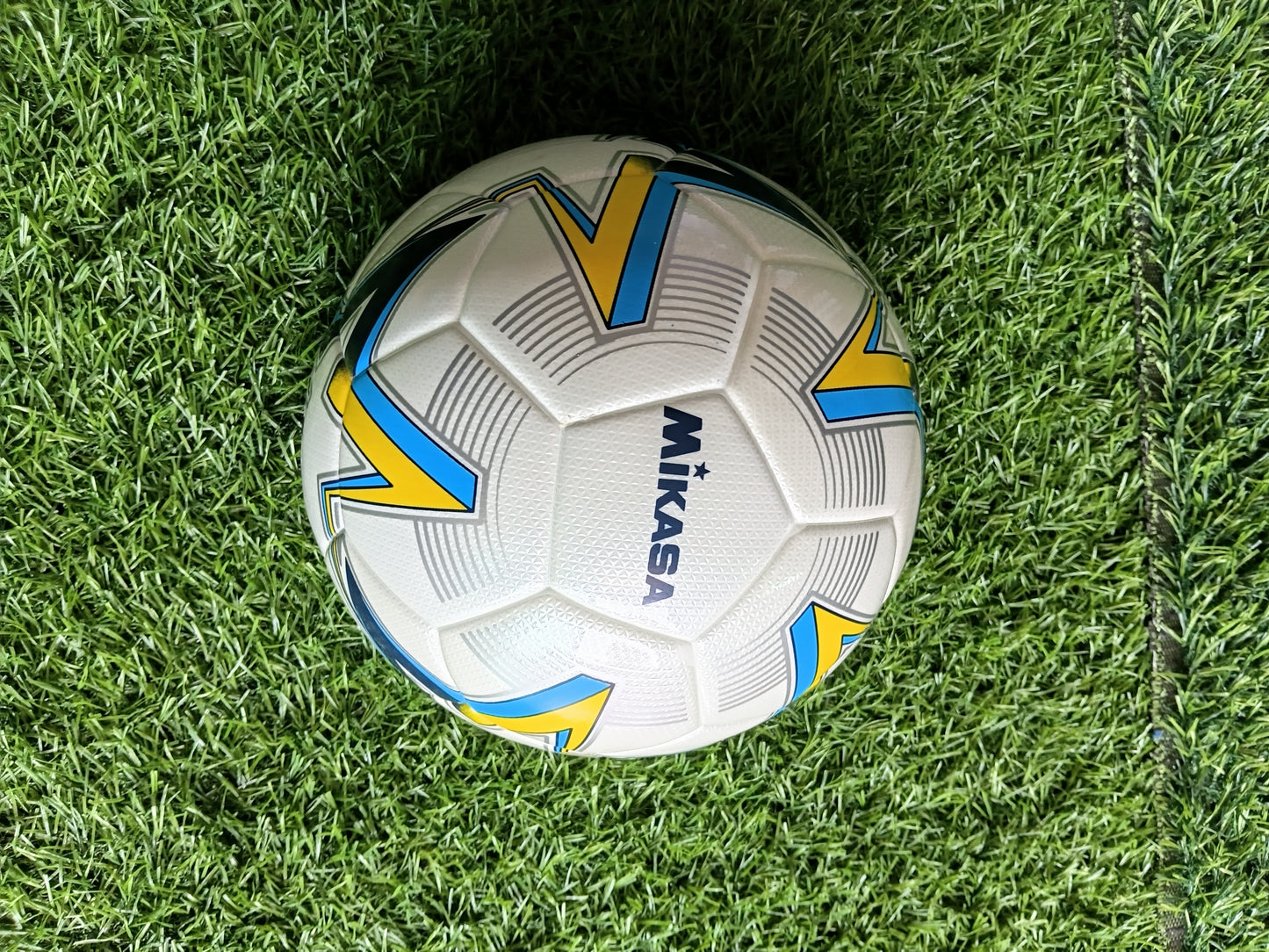 Mikasa Speed Ball Pro
